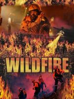 Watch Wild Fire Gomovies123