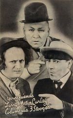 Watch Three Little Sew and Sews (Short 1939) Gomovies123