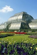 Watch Cruickshank on Kew: The Garden That Changed the World Gomovies123