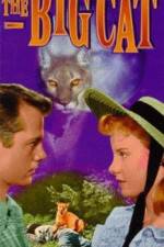 Watch The Big Cat Gomovies123