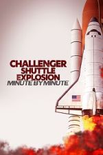 Watch Challenger Shuttle Disaster: Minute by Minute Gomovies123