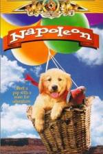 Watch Napoleon Gomovies123