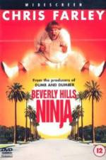 Watch Beverly Hills Ninja Gomovies123