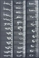 Watch Woman Throwing Baseball Gomovies123