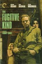 Watch The Fugitive Kind Gomovies123