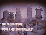 Watch The Wonderful World of Tupperware (Short 1965) Gomovies123
