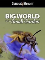 Watch Big World in a Small Garden (TV Short 2016) Gomovies123