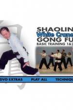 Watch Gong fu xiao zi Gomovies123