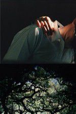 Watch The Hedge Theater Gomovies123