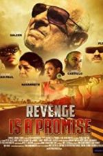 Watch Revenge Is a Promise Gomovies123