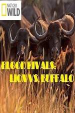 Watch National Geographic - Blood Rivals: Lion vs. Buffalo Gomovies123