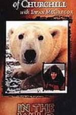 Watch The Polar Bears of Churchill with Ewan McGregor Gomovies123