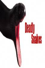 Watch National Geographic Wild Deadly Snakes Gomovies123