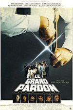 Watch The Big Pardon Gomovies123