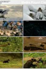 Watch National Geographic: Japans Hidden Secrets Gomovies123