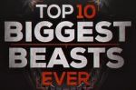 Watch Top 10 Biggest Beasts Ever Gomovies123