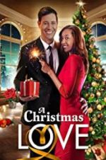 Watch A Christmas Love Gomovies123