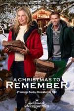 Watch A Christmas to Remember Gomovies123