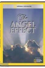 Watch National Geographic Explorer - The Angel Effect Gomovies123