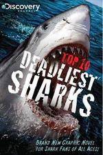 Watch National Geographic Worlds Deadliest Sharks Gomovies123