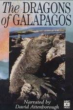 Watch The Dragons of Galapagos Gomovies123