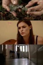 Watch How Drugs Work: Cannabis Gomovies123