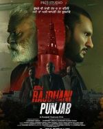 Watch Rajdhani Punjab Gomovies123