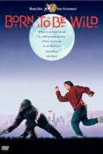 Watch Born to Be Wild Gomovies123