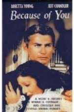 Watch Because of You Gomovies123