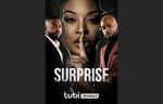 Watch Surprise Gomovies123