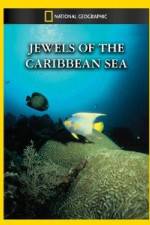 Watch National Geographic Jewels of the Caribbean Sea Gomovies123