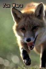 Watch Fox Wars Gomovies123