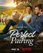 Watch A Perfect Pairing Gomovies123