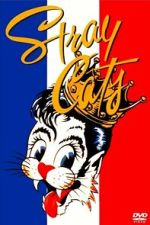 Watch Stray Cats Rock Paris Gomovies123