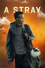 Watch A Stray Gomovies123
