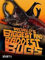 Watch World\'s Biggest and Baddest Bugs Gomovies123