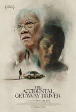 Watch The Accidental Getaway Driver Gomovies123
