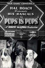 Watch Pups Is Pups Gomovies123