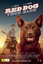 Watch Red Dog True Blue Gomovies123