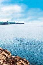 Watch Intent Gomovies123