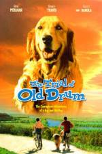 Watch The Trial of Old Drum Gomovies123