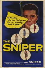Watch The Sniper Gomovies123