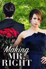 Watch Making Mr. Right Gomovies123