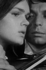 Watch Pavoncello Gomovies123