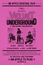 Watch The Velvet Underground Gomovies123