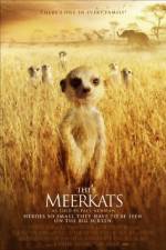 Watch The Meerkats Gomovies123