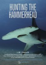 Watch Hunting the Hammerhead Gomovies123