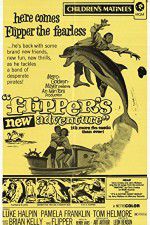 Watch Flippers New Adventure Gomovies123