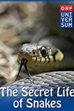 Watch The Secret Life of Snakes Gomovies123