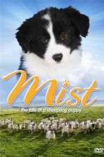 Watch Mist: The Tale of a Sheepdog Puppy Gomovies123